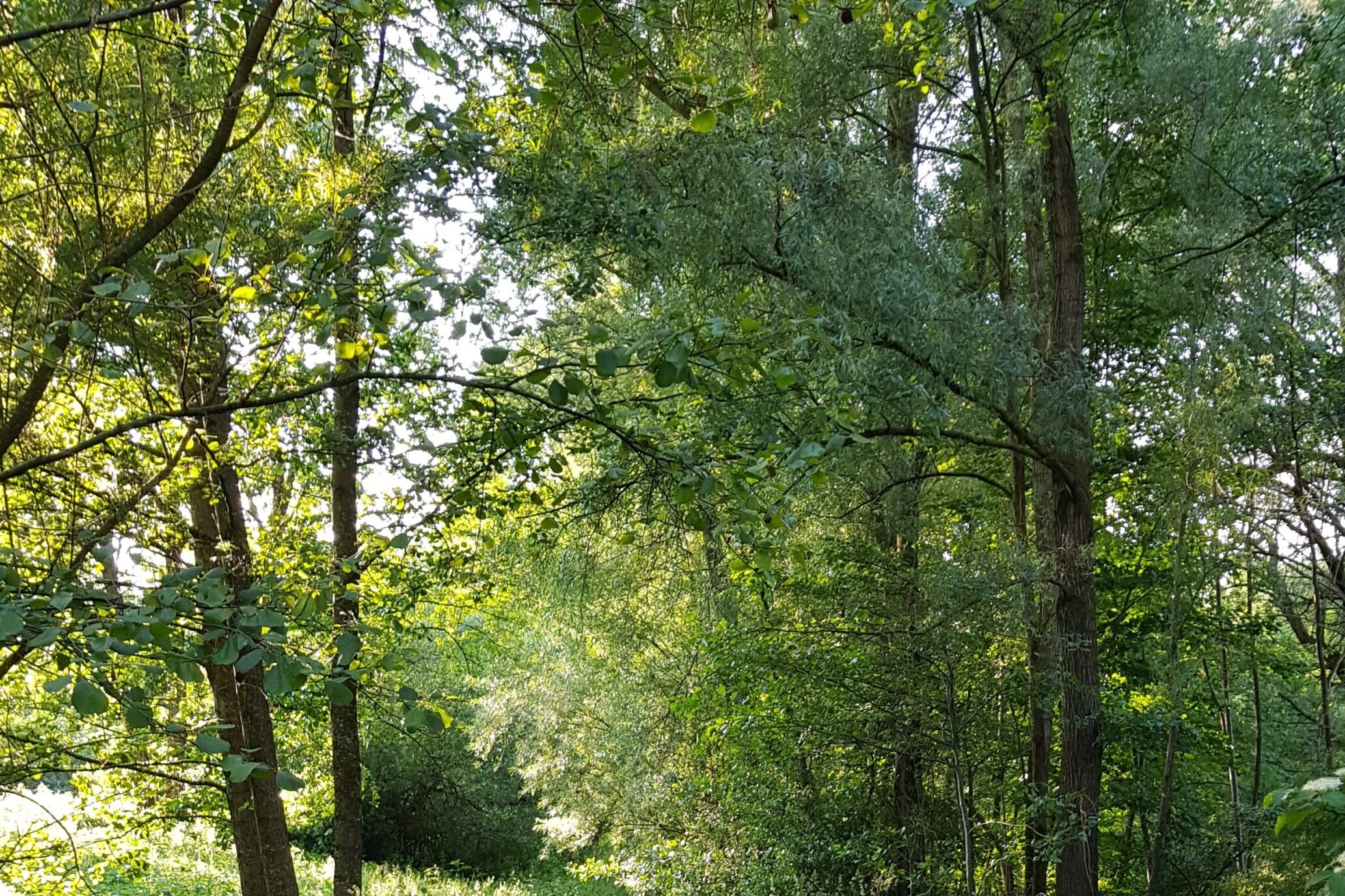 20230608_1904232-scaled